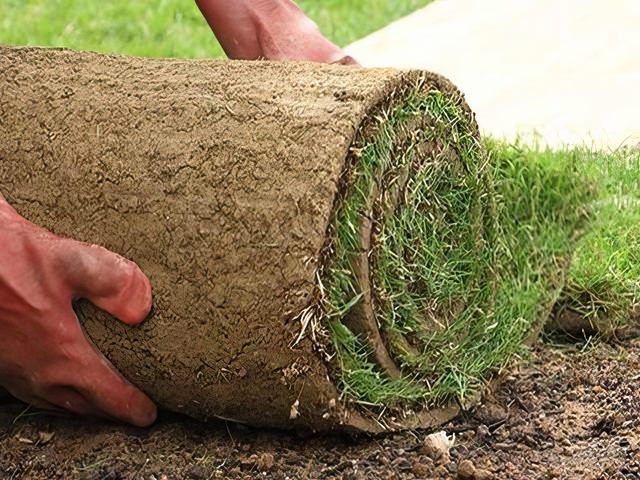 Turfing & Artificial Grass